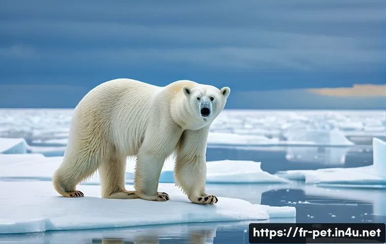 북극곰 멸종 원인 - A majestic polar bear standing on a melting Arctic sea ice floe during summer, surrounded by fragmen...